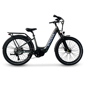 10-Speed E-bike