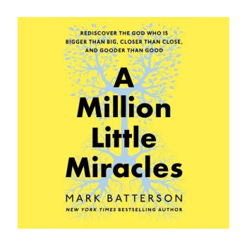 A Million Little Miracles