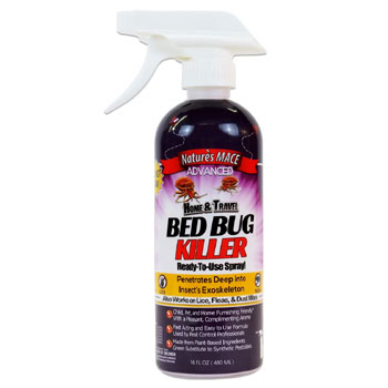 Bed Bug Killer Treatment