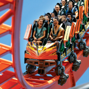 Busch Gardens Tampa - Single Day Ticket