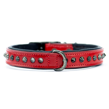 Dog Collar