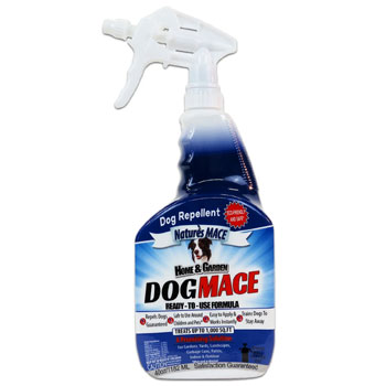 Dog Repellent And Training Tool