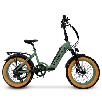 Folding Electric Bike