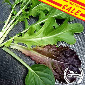 Lettuce Seeds - Mixed Greens - Gourmet Mixture