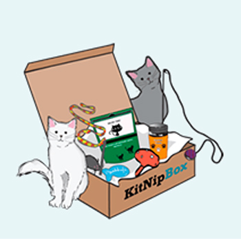 Multi-Cat KitNipBox