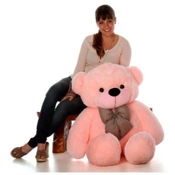 Pink Teddy Bear