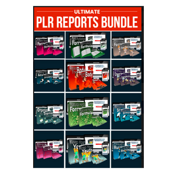 PLR Reports Bundle