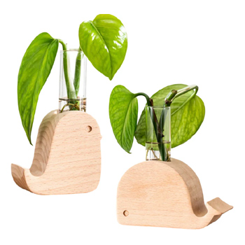 Propagation Vases