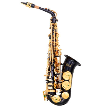 Student Saxophone Black