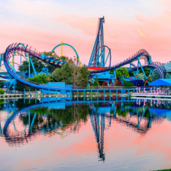 SeaWorld Orlando Single Day Ticket