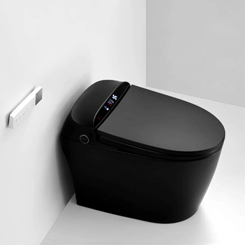 Smart Toilet