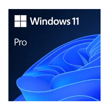 Windows 11 Professional